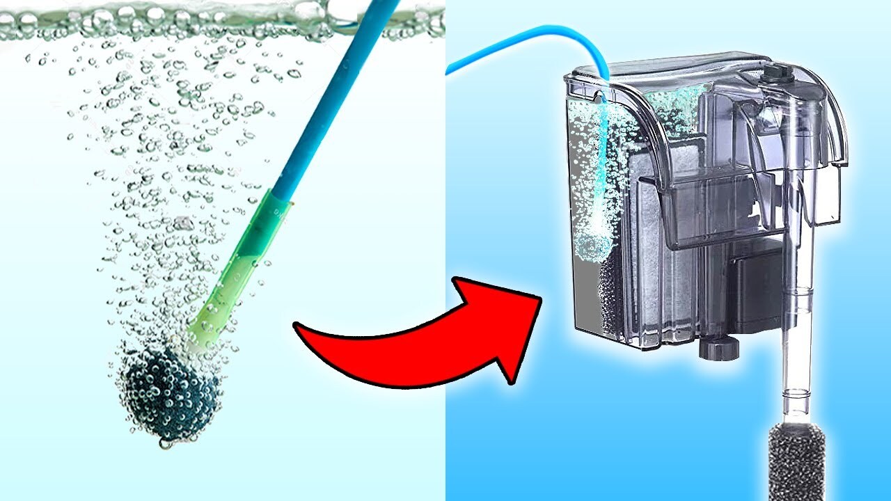SOLVED! 9 Quietest Aquarium Filter for Fish Tanks SOLVED! 9 Quietest Aquarium Filter for Fish Tanks