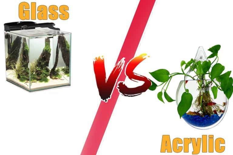 How to choose your first aquarium: Glass vs Acrylic - Dream Fish Tanks How to choose your first aquarium: Glass vs Acrylic - Dream Fish Tanks