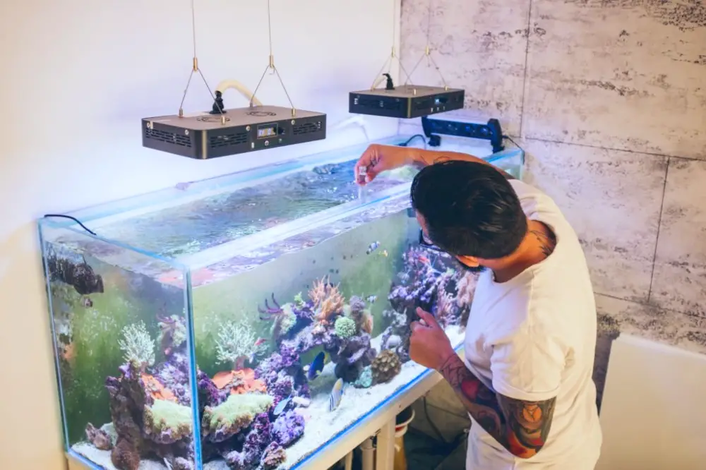 Easy Aquarium Keeping: A step-by-step guide to start setting up a low ... Easy Aquarium Keeping: A step-by-step guide to start setting up a low ...