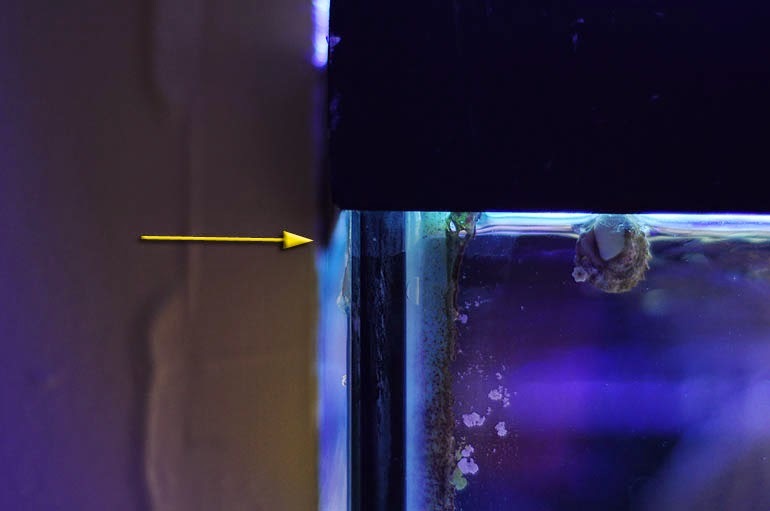 How to Fix a Leaking Tank - The Aquarium Guide