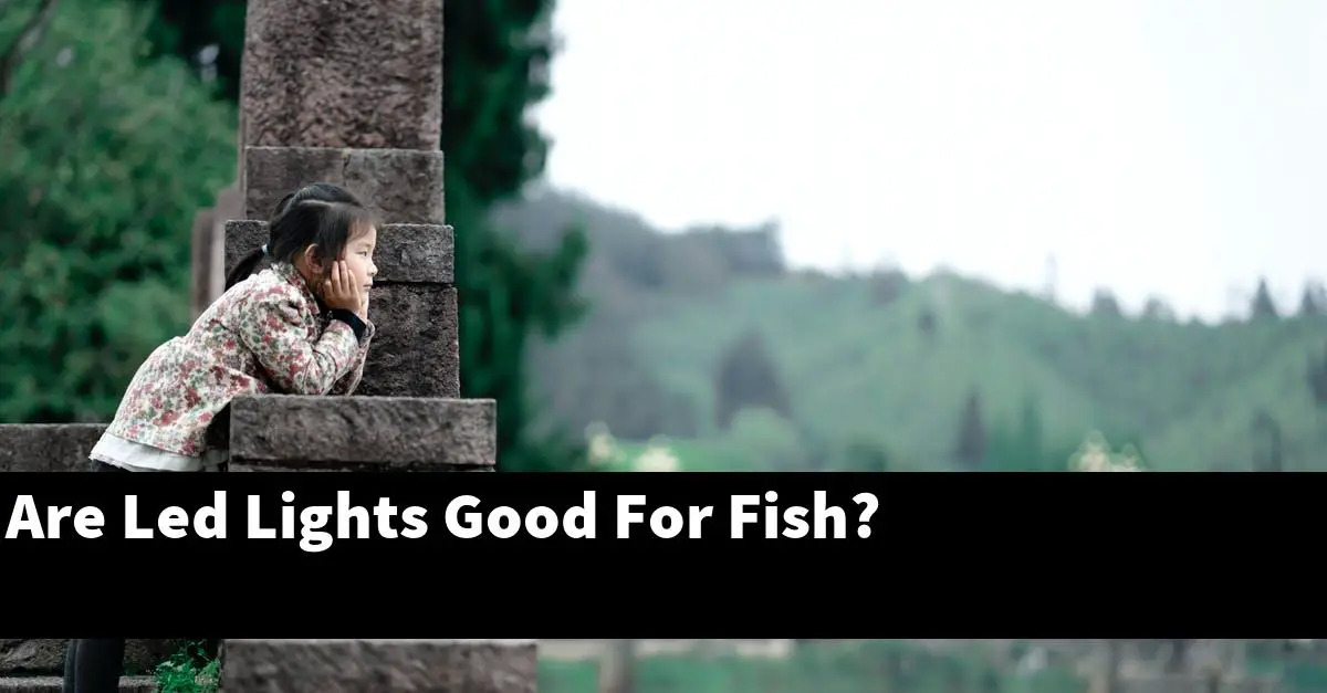 Are Led Lights Good For Fish? [2025 Guide] - Gold Koi Fish