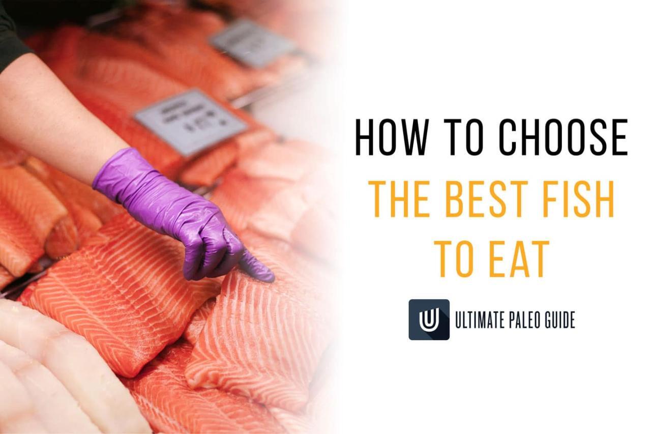 Best Fish to Eat: 12 Healthiest Options