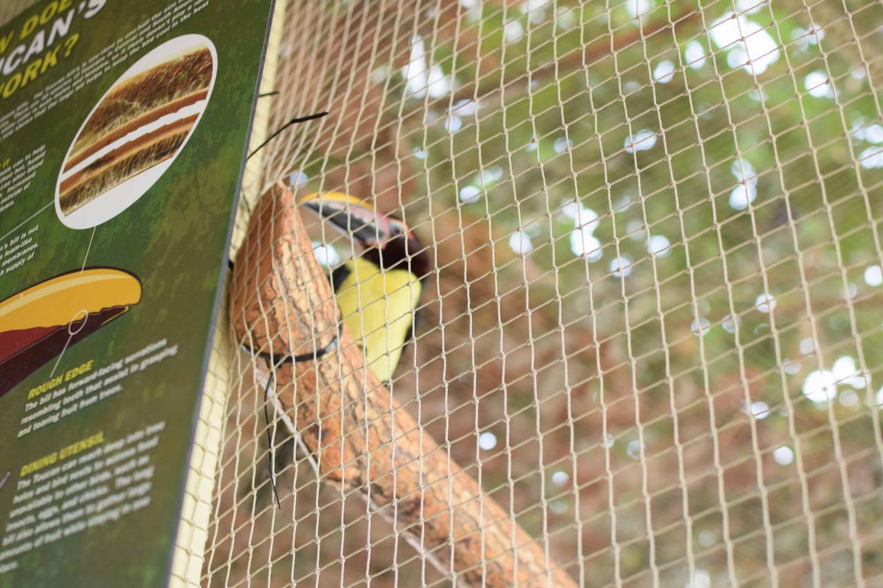 10 Reasons To Go to the Aquarium During Spring Break - The Organized Mom 10 Reasons To Go to the Aquarium During Spring Break - The Organized Mom