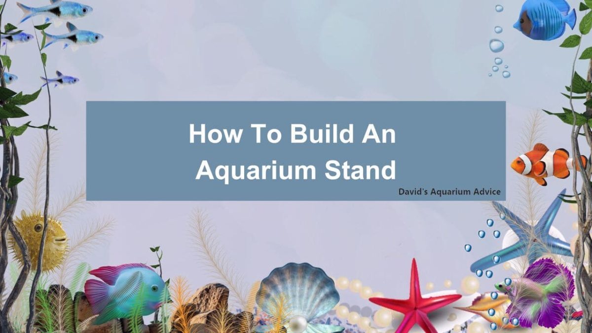How To Build An Aquarium Stand [5 Easy Steps]
