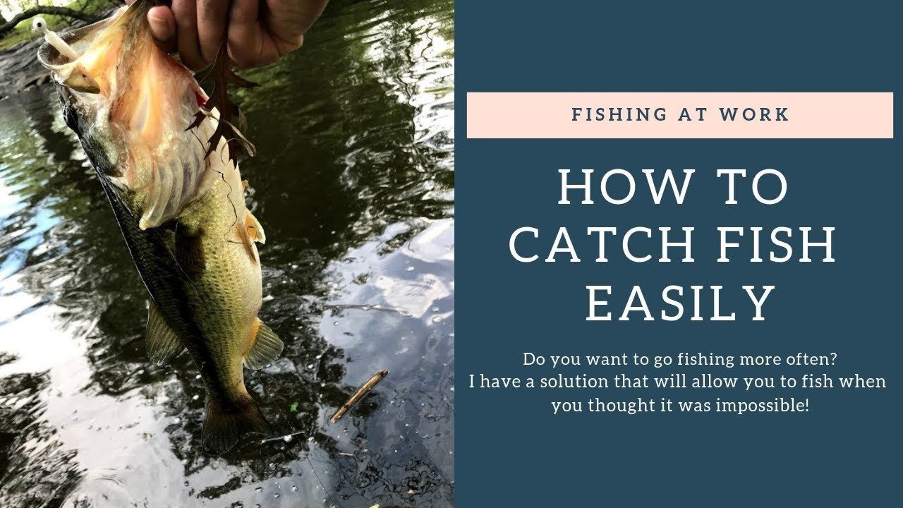 How To Catch Fish Easily No Matter Where You Are! How To Catch Fish Easily No Matter Where You Are!