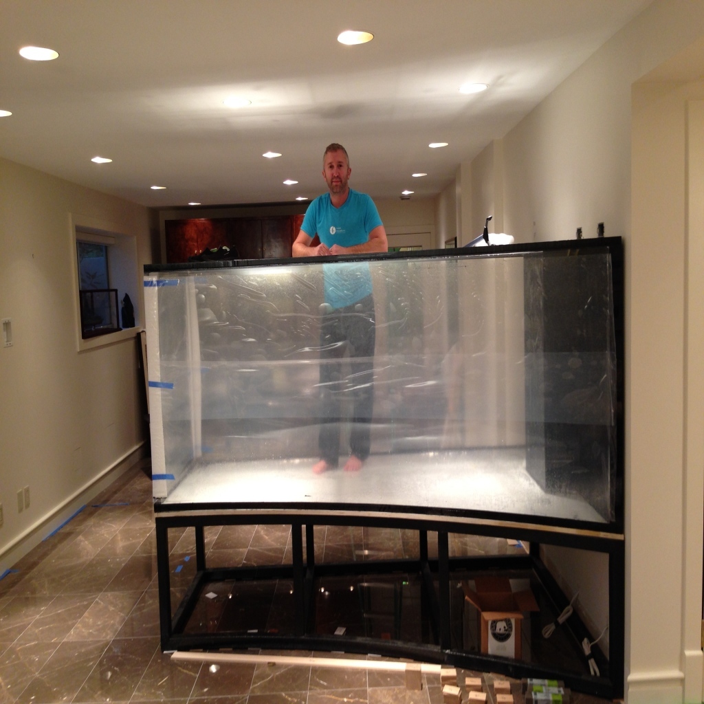 Upgrade! : r/aquarium Upgrade! : r/aquarium