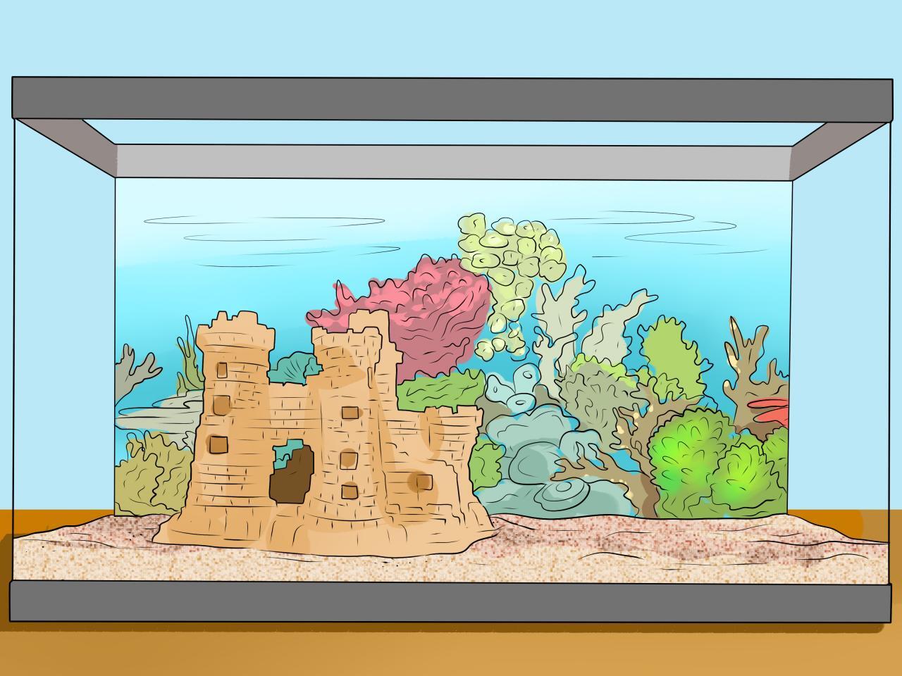 Setting Up and Maintaining Your Aquarium Setting Up and Maintaining Your Aquarium