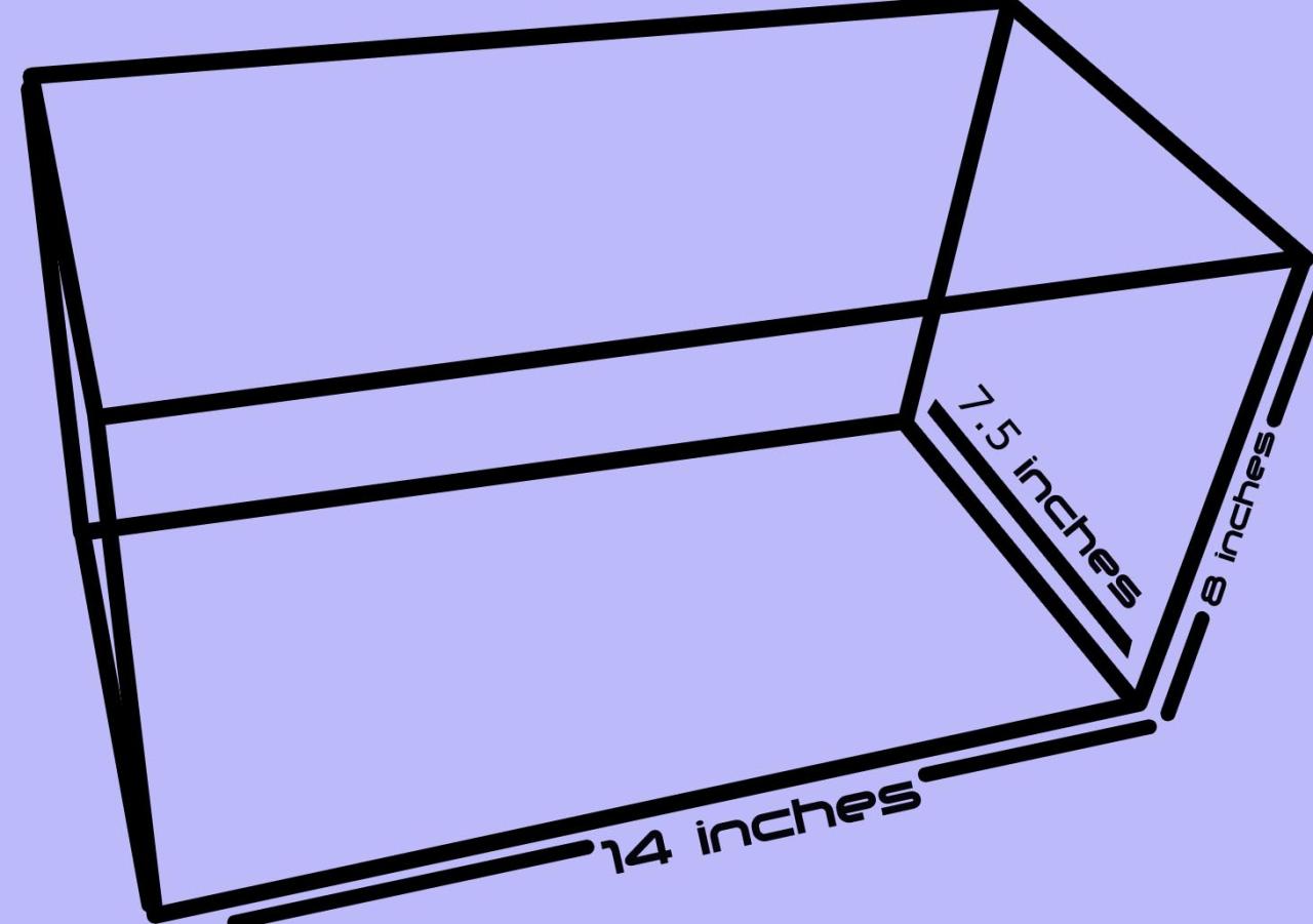 How to Choose the Right Aquarium Size for Beginners