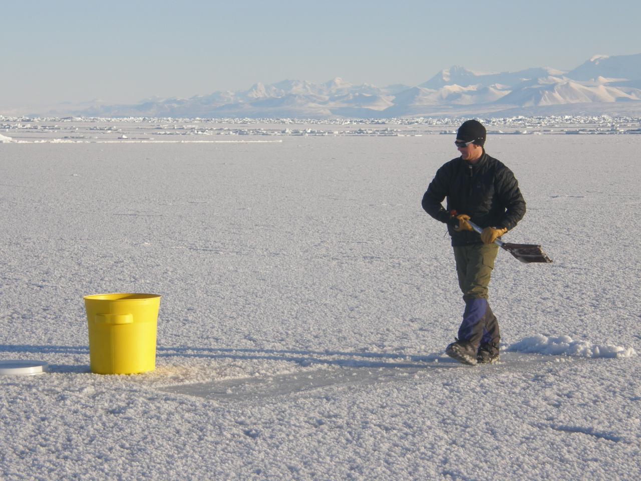 Autumn Forest Clean Road Free Stock Photo - Public Domain Pictures Autumn Forest Clean Road Free Stock Photo - Public Domain Pictures