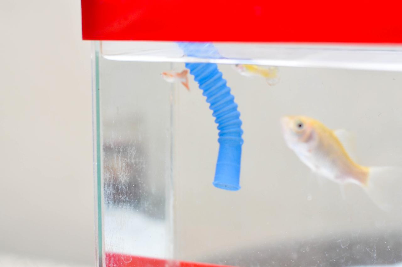 How to Repair a Leaky Aquarium: 6 Steps (with Pictures) - wikiHow How to Repair a Leaky Aquarium: 6 Steps (with Pictures) - wikiHow