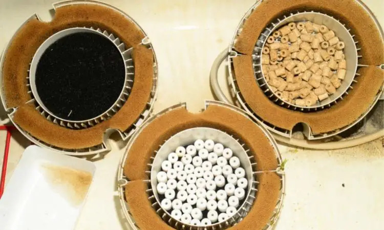 Enhance Aquatic Life: Tips on Selecting the Perfect Aquarium Filter ... Enhance Aquatic Life: Tips on Selecting the Perfect Aquarium Filter ...