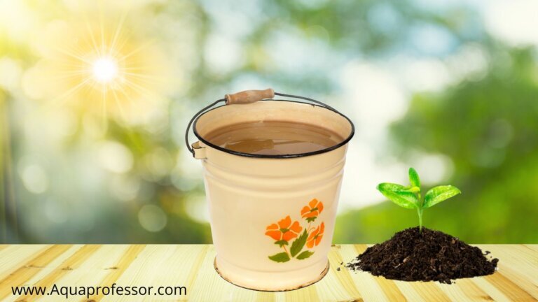 How to Dechlorinate Tap Water for Fish - hygger How to Dechlorinate Tap Water for Fish - hygger