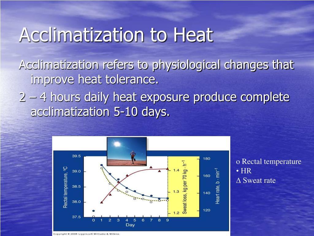 How to Acclimate New Fish to Your Aquarium Safely