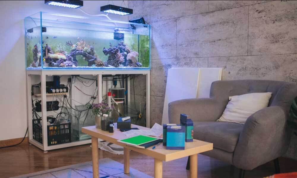 How To Reseal An Aquarium In The Most Effective Way – Love Fish Tank