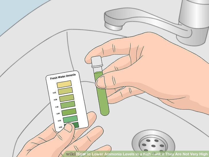 How to Lower Ammonia Levels in a Fish Tank if They Are Not Very High How to Lower Ammonia Levels in a Fish Tank if They Are Not Very High