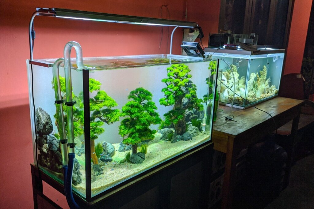 My aquarium is leaking: what's the cause? My aquarium is leaking: what's the cause?