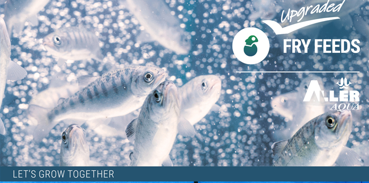 Guide for moms: how to be productive with many fish to fry