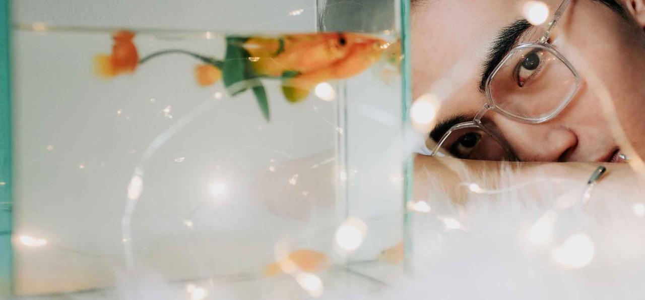 Illuminate Your Aquarium with Our Fish Lighting Solutions Illuminate Your Aquarium with Our Fish Lighting Solutions