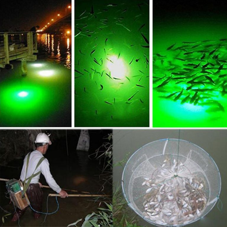 How to choose a right Led Fishing Light? How to choose a right Led Fishing Light?