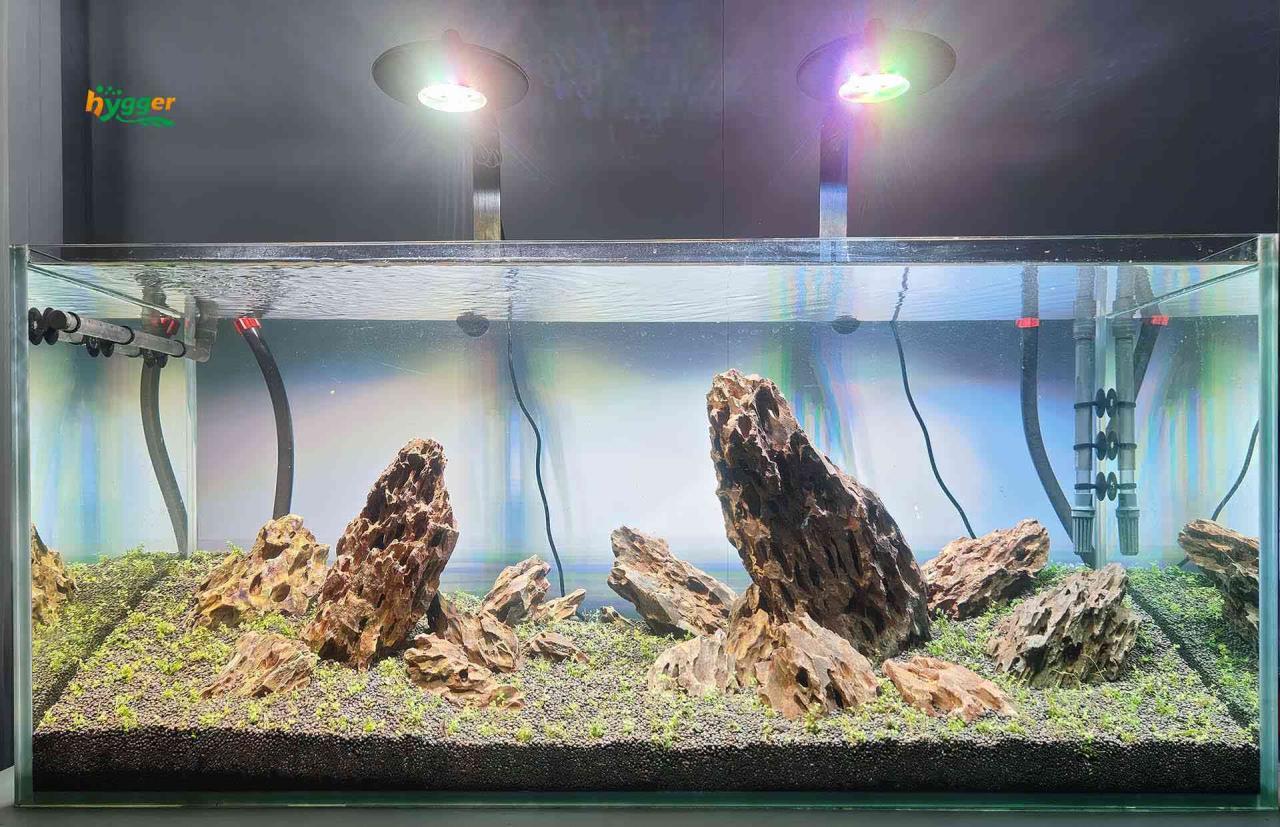 How Long Does It Take For Tap Water To Dechlorinate? | Fish Keeper Guide How Long Does It Take For Tap Water To Dechlorinate? | Fish Keeper Guide