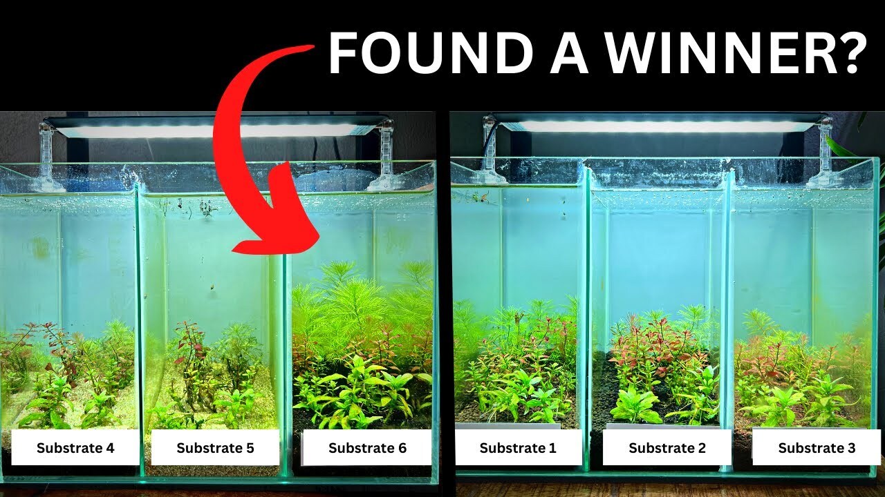 Live Aquarium Plant Substrate