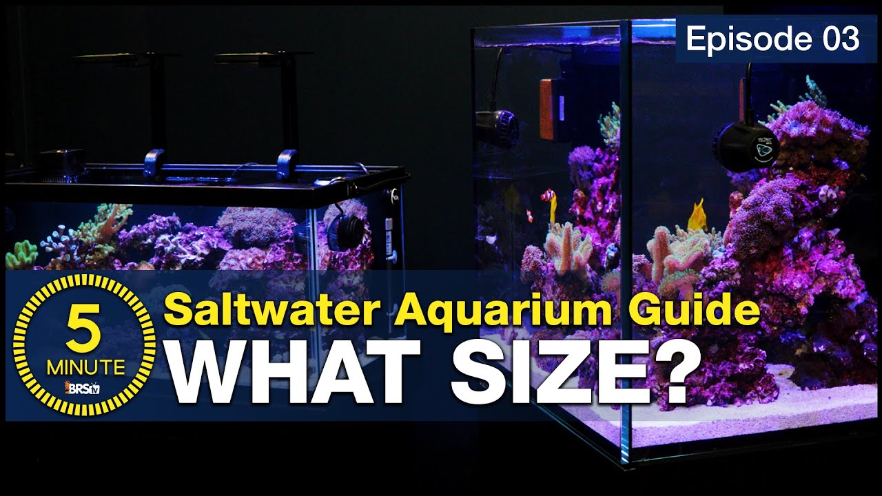 Aquarium Sizes - A Guide to Aquarium Size and Weight Aquarium Sizes - A Guide to Aquarium Size and Weight