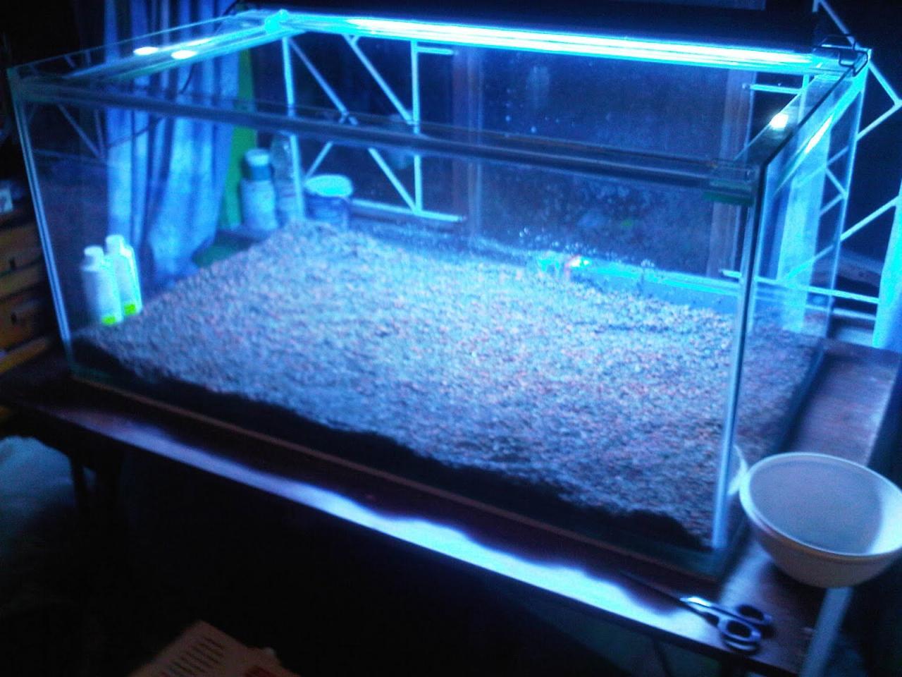 Ultimate Tropical Aquarium Setup Guide 2024 Ultimate Tropical Aquarium Setup Guide 2024