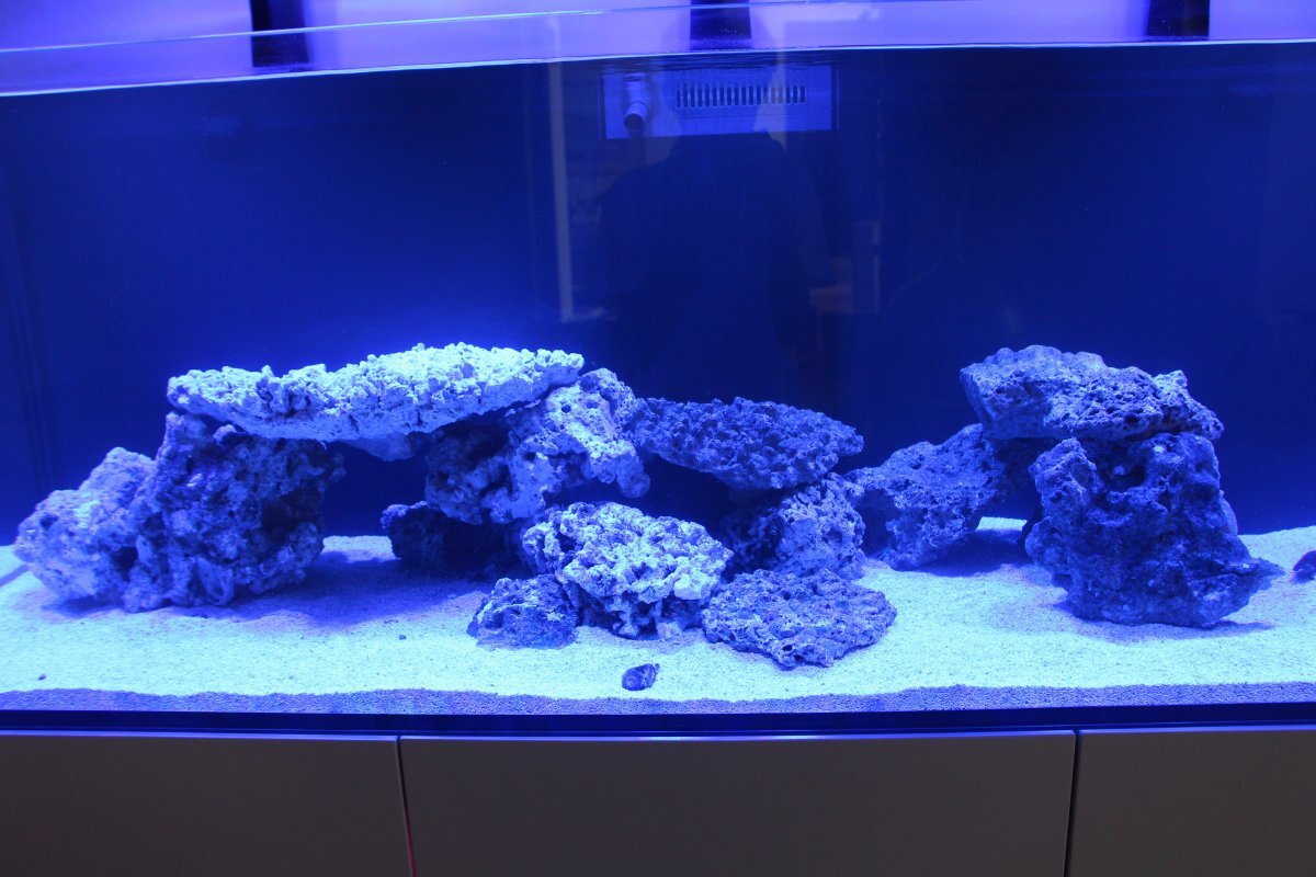 Help with aquascape please! | REEF2REEF Saltwater and Reef Aquarium Forum Help with aquascape please! | REEF2REEF Saltwater and Reef Aquarium Forum
